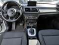 Audi Q3 2.0 Tdi Quattro 150cv S-tronic Business Bianco - thumbnail 7