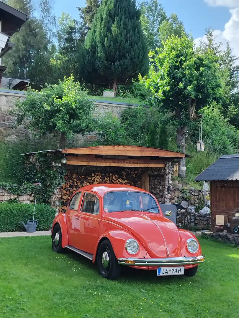 Volkswagen Käfer Rot - 1