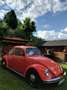 Volkswagen Käfer Rot - thumbnail 6