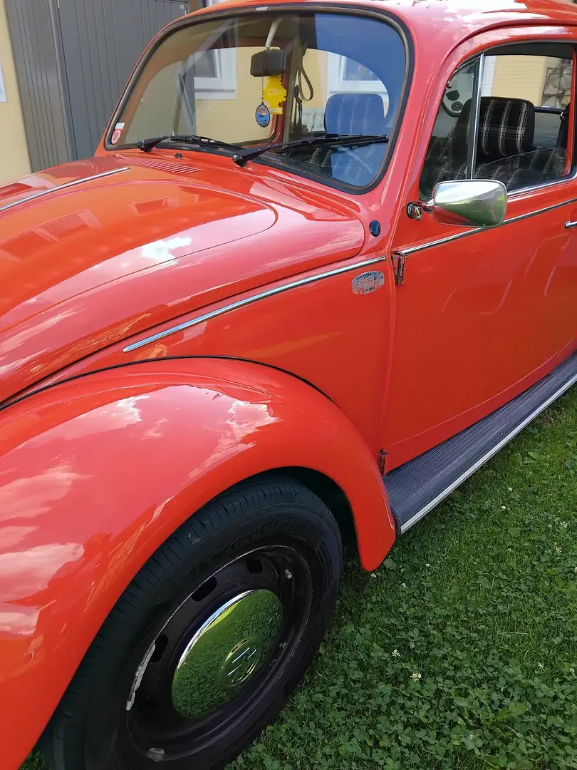 Volkswagen Käfer Rot - 2