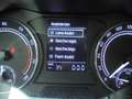 Skoda Scala 1.0 TSI DSG Ambit+Sitzh+AHK+PDC Grau - thumbnail 13