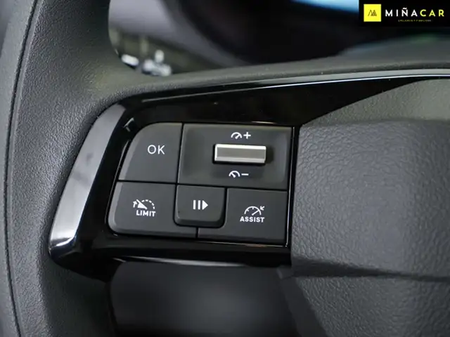 Citroen Berlingo view 18