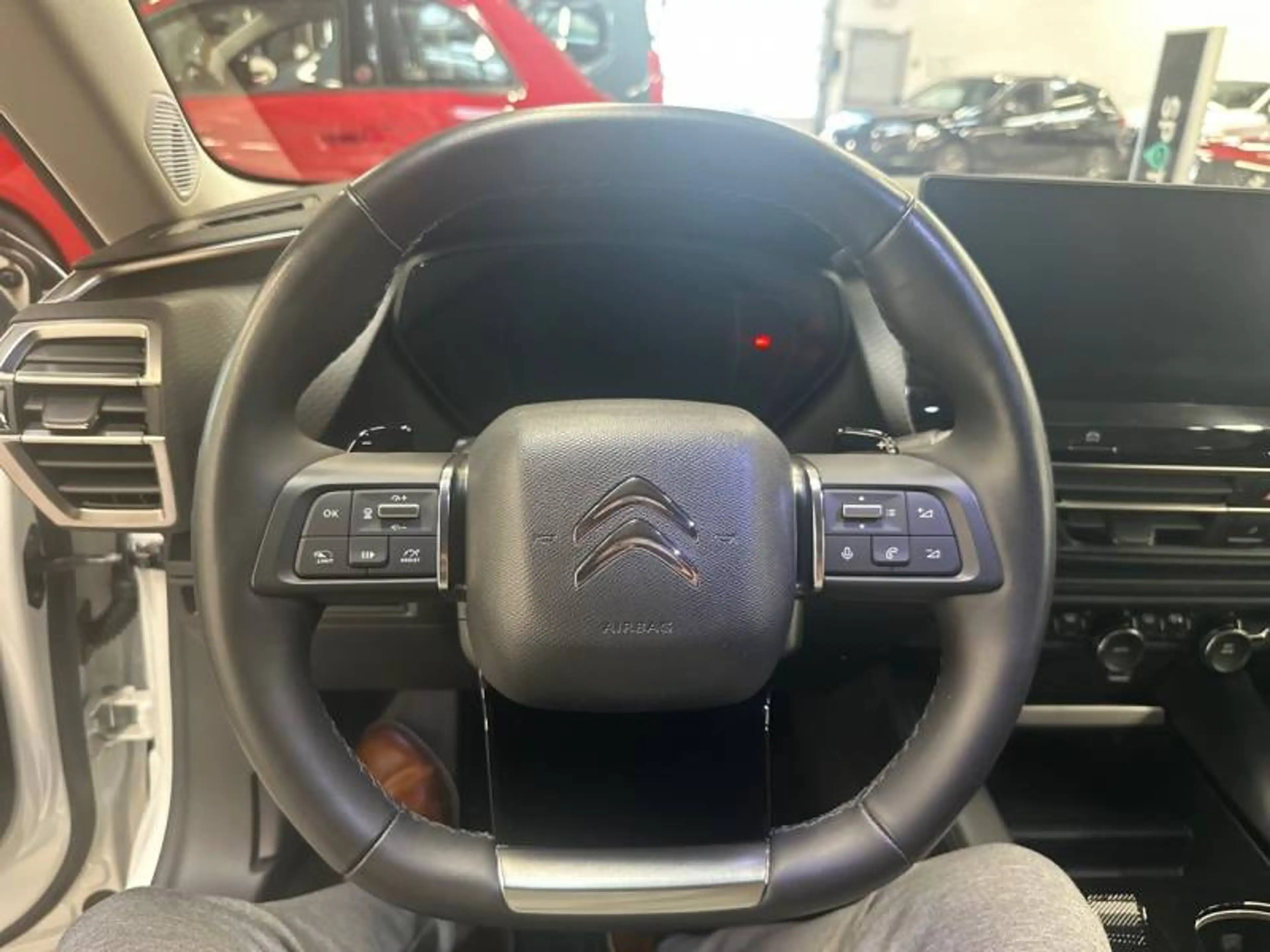Citroen C5 X 1 1.2 PureTech 130 S&S EAT8 Shine — photo 14