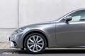 Lexus IS 300 300h Business Line Pro Gris - thumbnail 8