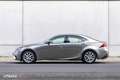 Lexus IS 300 300h Business Line Pro Gris - thumbnail 7