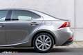 Lexus IS 300 300h Business Line Pro Gris - thumbnail 9