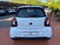 smart forFour 70 1.0 PERFETTA! UNIPRO’! PREZZO PROMO! Bianco - thumbnail 4