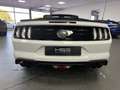 Ford Mustang 5,0l V8 GT Cabrio DIGI-Tacho/Premium/ EU-Modell Weiß - thumbnail 8