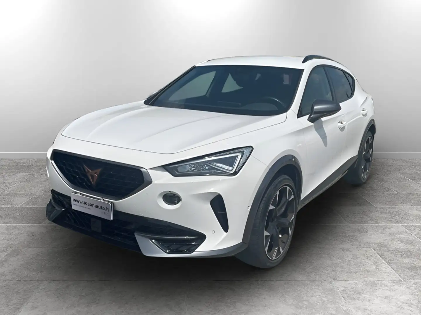 CUPRA Formentor 1.5 tsi dsg Wit - 1