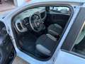 Fiat Panda Panda Hybrid 1.0 FireFly S&S NEOPATENTATI Blu/Azzurro - thumbnail 9