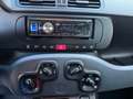 Fiat Panda Panda Hybrid 1.0 FireFly S&S NEOPATENTATI Blu/Azzurro - thumbnail 12