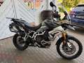 Triumph Tiger 900 Rally Pro Vert - thumbnail 3