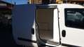 Fiat Doblo Doblo 1.6 mjt Active 105cv coibentato Bianco - thumbnail 5