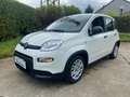 Fiat Panda SOLO 4000 KM Hybrid City Life OK NEOPATENTATI Blanco - thumbnail 1