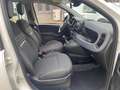Fiat Panda SOLO 4000 KM Hybrid City Life OK NEOPATENTATI Blanco - thumbnail 4