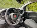 Fiat Panda SOLO 4000 KM Hybrid City Life OK NEOPATENTATI Blanco - thumbnail 10