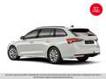 Skoda Octavia Essence TSI Weiß - thumbnail 3