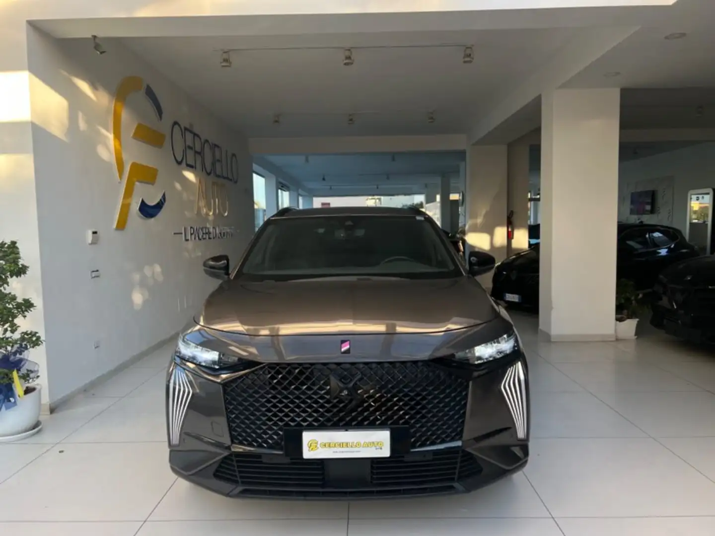 DS Automobiles DS 7 BlueHDi 130 aut. Performance Line tua da €289,00 Gris - 2