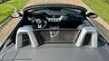 BMW Z4 s-drive 23i 2l5 2009 luxe Grau - thumbnail 40