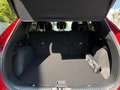 Ford Kuga Voll-Hybrid Vignale Rot - thumbnail 19