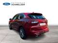 Ford Kuga Voll-Hybrid Vignale Rot - thumbnail 5