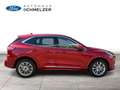 Ford Kuga Voll-Hybrid Vignale Rot - thumbnail 8