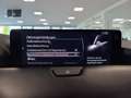 Mazda CX-80 3.3 e-SKYACTIV-D 254 AWD M-Hybrid Homura *AHK*M... Schwarz - thumbnail 24