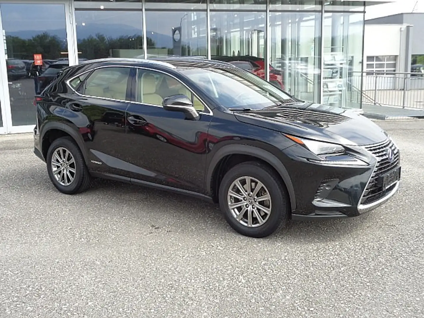 Lexus NX 300h Business Hybrid Aut. Schwarz - 2