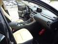 Lexus NX 300h Business Hybrid Aut. Schwarz - thumbnail 12