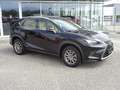 Lexus NX 300h Business Hybrid Aut. Schwarz - thumbnail 2