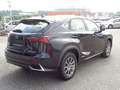 Lexus NX 300h Business Hybrid Aut. Schwarz - thumbnail 4