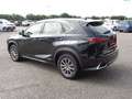 Lexus NX 300h Business Hybrid Aut. Schwarz - thumbnail 6