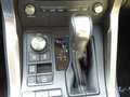 Lexus NX 300h Business Hybrid Aut. Schwarz - thumbnail 15