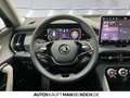 Skoda Kodiaq Selection 1,5 TSI m-HEV DSG AHZV MATRIX LED Blau - thumbnail 9