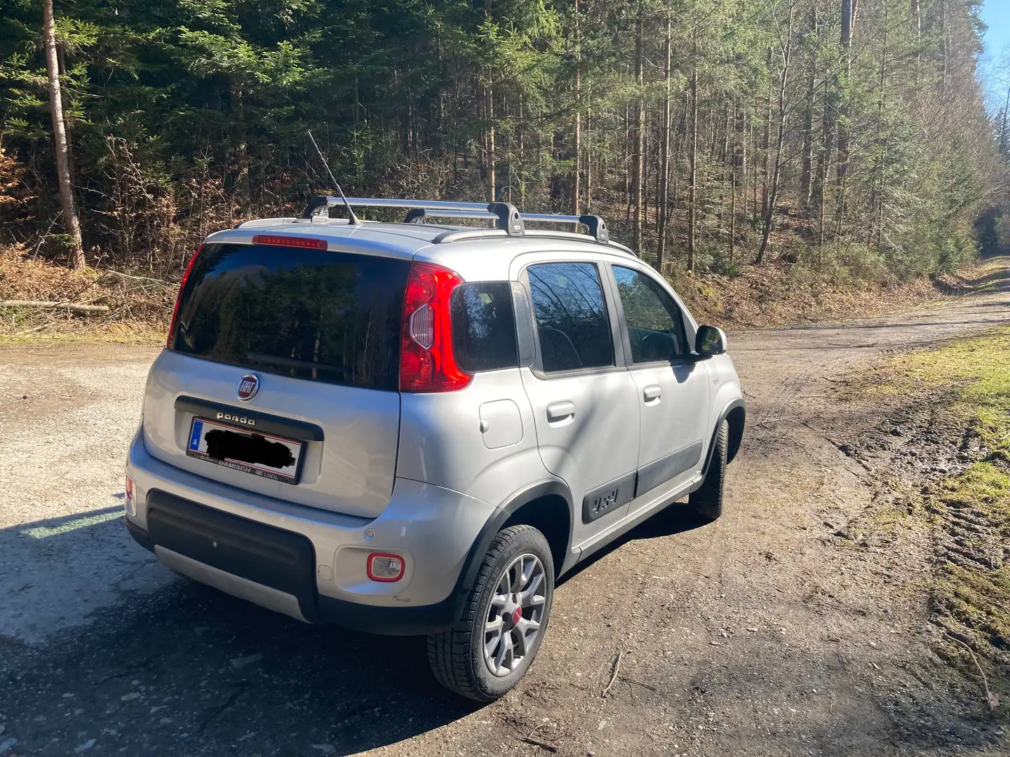 Fiat Panda Panda 4x4 1,3 Multijet II 95 Silber - 2