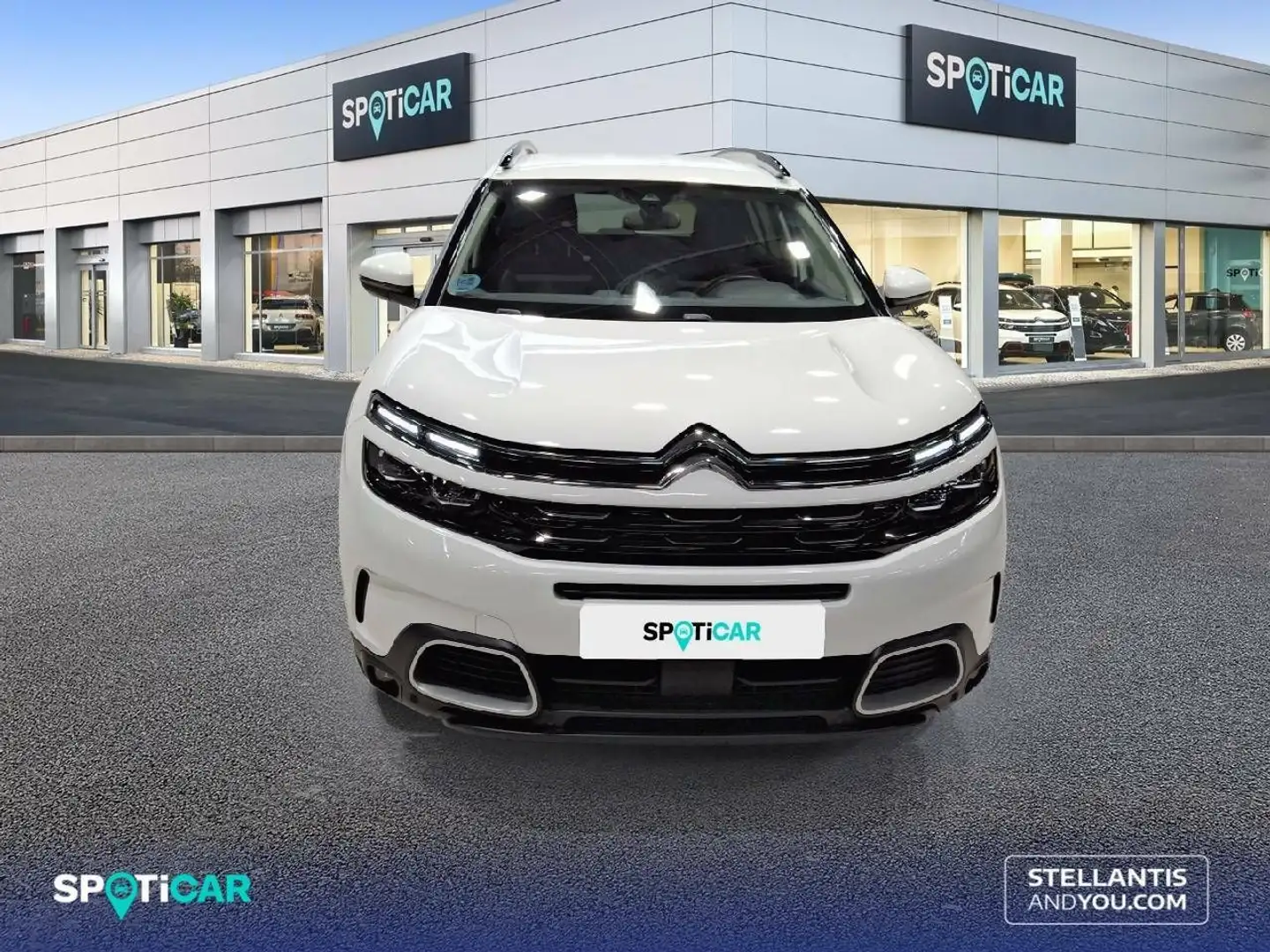 Citroen C5 Aircross BlueHDi S&S Shine Pack 130 Wit - 2