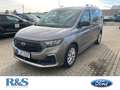 Ford Tourneo Connect PHEV Titanium+Kamera+KeyFree Silber - thumbnail 1
