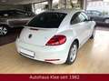 Volkswagen Beetle 2.0 TDI Sport *Tüv neu*Bluetooth* Weiß - thumbnail 3