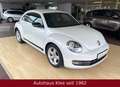 Volkswagen Beetle 2.0 TDI Sport *Tüv neu*Bluetooth* Blanco - thumbnail 1