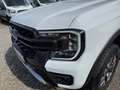 Ford Ranger Doppelkabine Wildtrak e-4WD 2.3 EcoBoost Weiß - thumbnail 7
