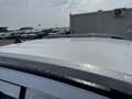 Ford Ranger Doppelkabine Wildtrak e-4WD 2.3 EcoBoost Weiß - thumbnail 21