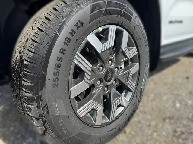 Ford Ranger Doppelkabine Wildtrak e-4WD 2.3 EcoBoost Ansicht 8