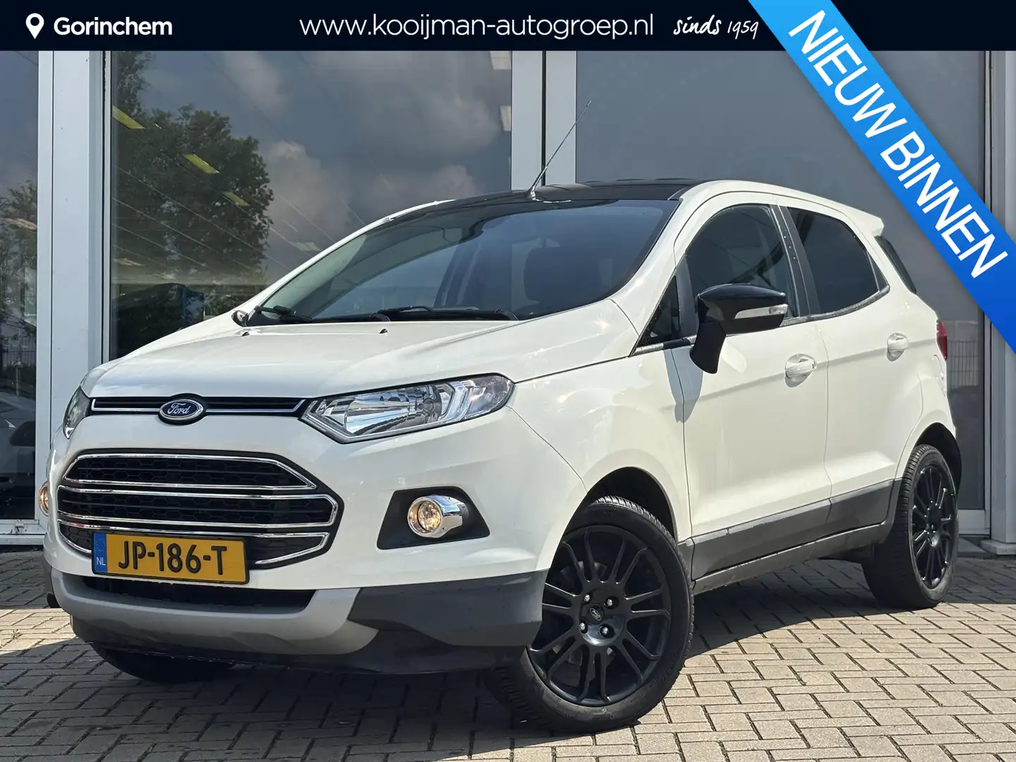 Ford EcoSport 1.0 EcoBoost Titanium | Cruise Control | Keyless e Wit - 1
