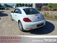 Volkswagen Beetle 1.2 TSI 2 x PDC Composition Colour ZV Weiß - thumbnail 3