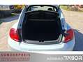 Volkswagen Beetle 1.2 TSI 2 x PDC Composition Colour ZV Weiß - thumbnail 8