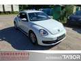 Volkswagen Beetle 1.2 TSI 2 x PDC Composition Colour ZV Weiß - thumbnail 2
