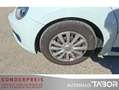 Volkswagen Beetle 1.2 TSI 2 x PDC Composition Colour ZV Weiß - thumbnail 9