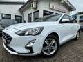 Ford Focus 1.5 TDCI St&St+NAVI+LED+6 GANG+KLIMA+PDC+SHZ+TEMPO Weiß - thumbnail 1