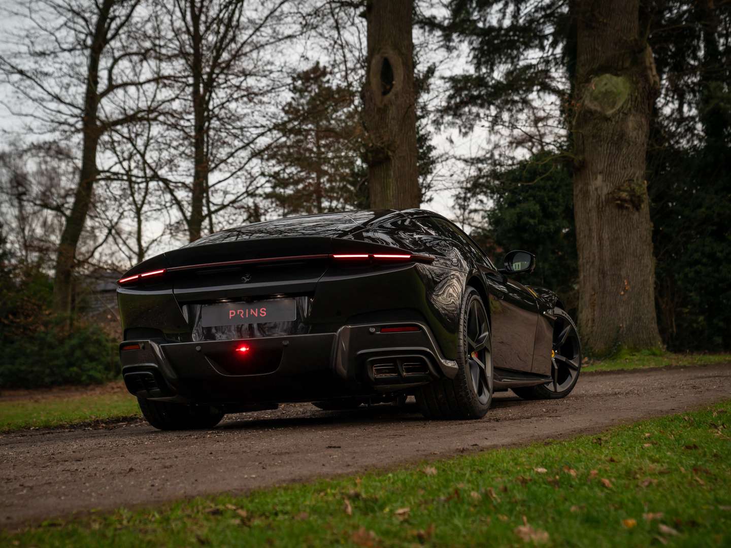 Ferrari 12 Cilindri - - Joinsteer - #5