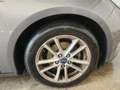 Ford Focus 1.5TDCi Trend+ 120 Gris - thumbnail 14